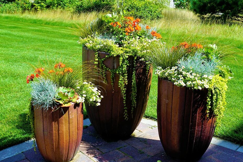 thriller-filler-spiller-plants