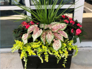 planter