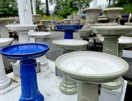 bird bath