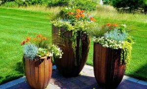 thriller-filler-spiller-plants